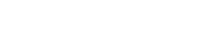 Soft Line Agency Logo Footer